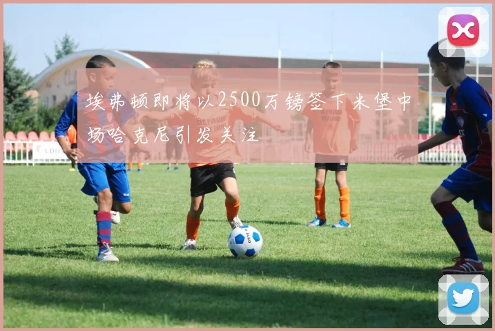 埃弗顿即将以2500万镑签下米堡中场哈克尼引发关注